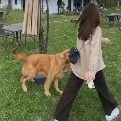 奇门密探粤语